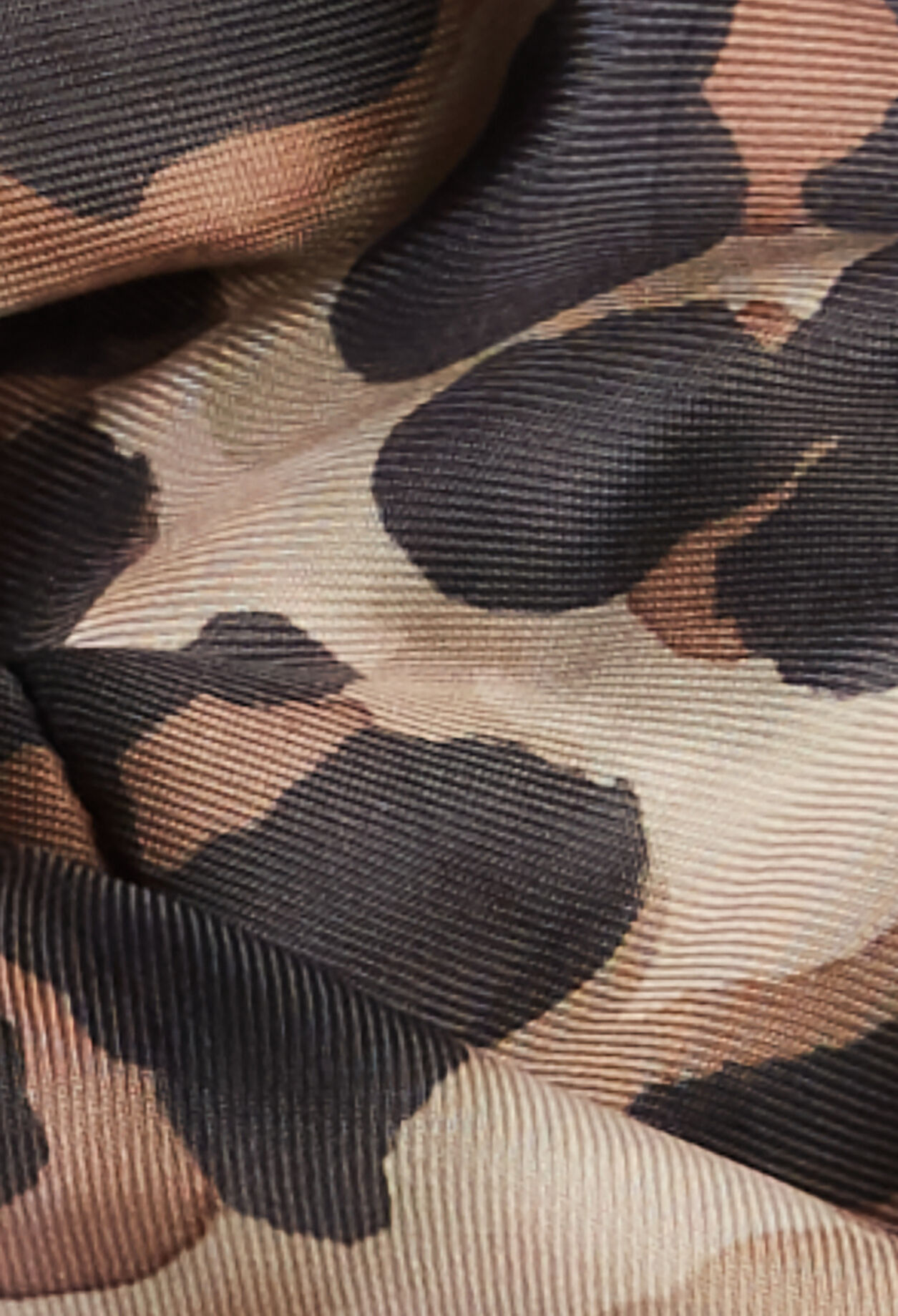 Coletero de leopardo