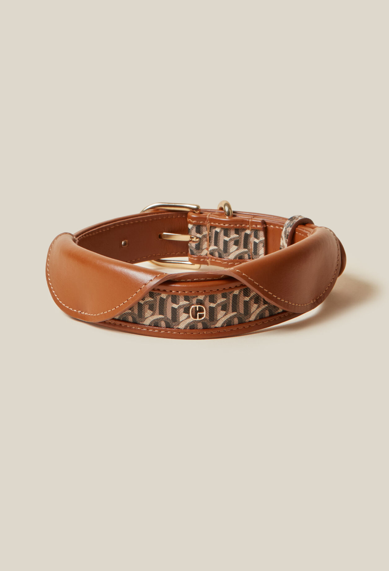 Collar perro monograma CP
