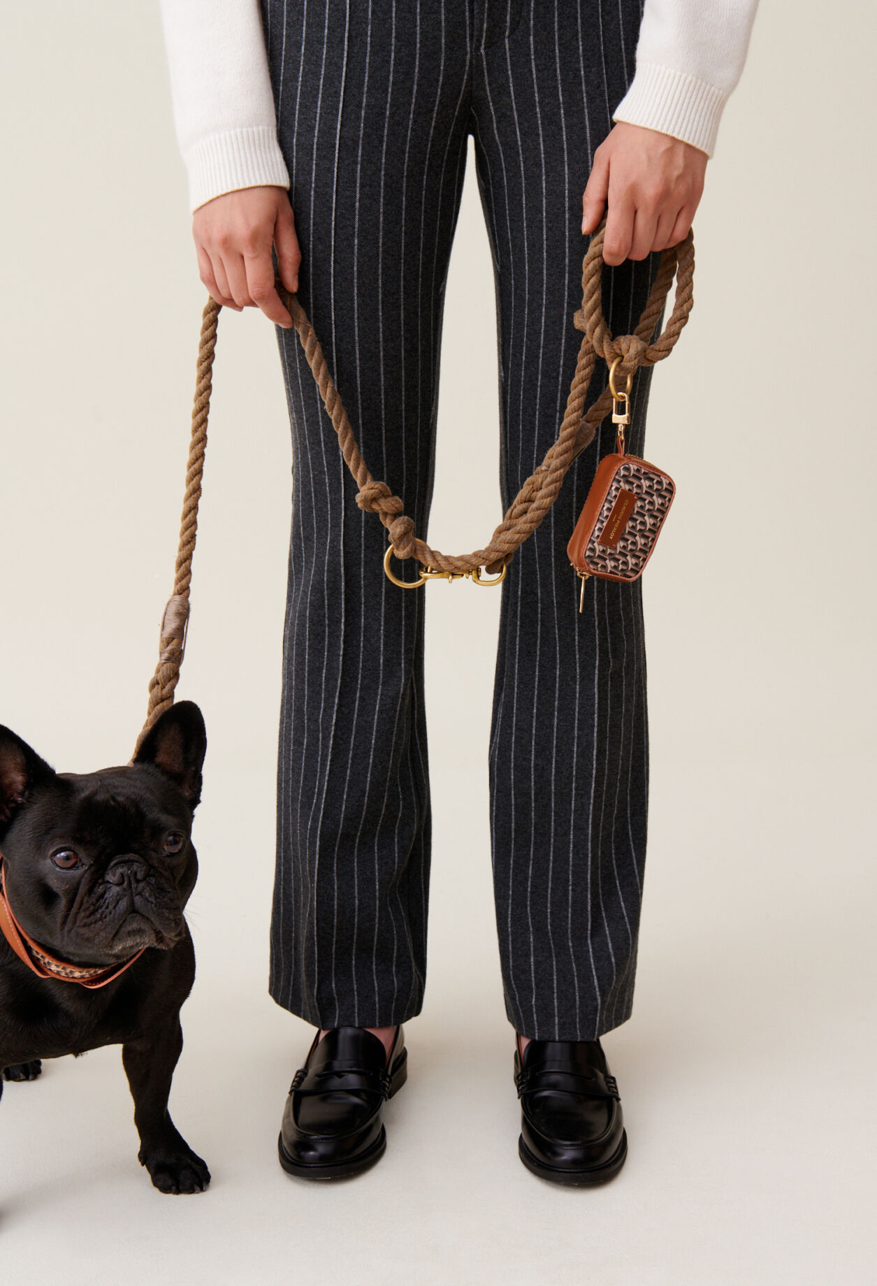 Bolsa para bolsas perro