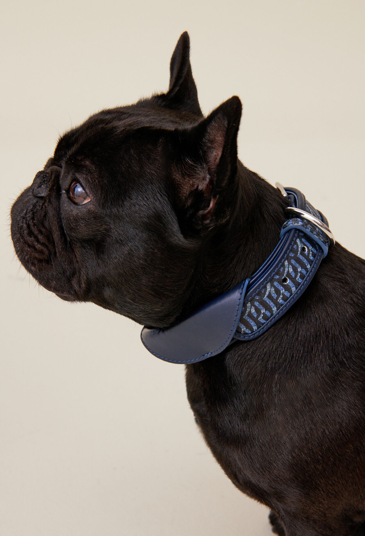 Collar perro monograma CP