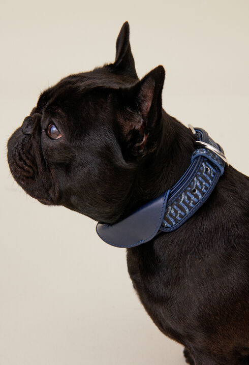 Collar perro monograma CP